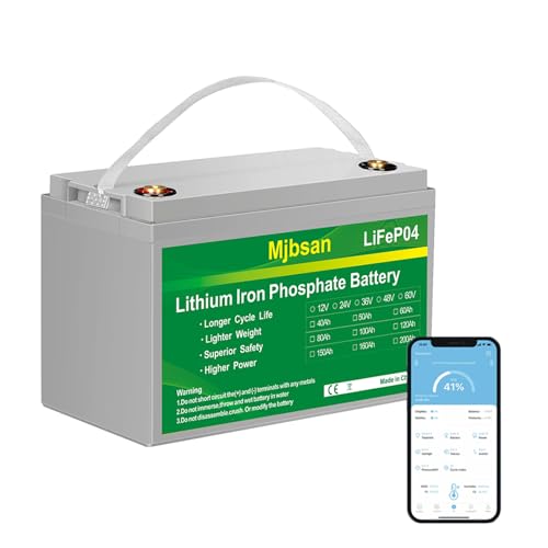 12V 100Ah LiFePO4 Battery 12V 100Ah Lithium Battery, Built-in 100A BMS 1280Wh,Up to 15000+ Deep Cycle Rechargeable Battery 12V, Lithium Batteries 12V Perfect for RV Camping,Trolling Motor,Solar