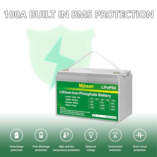 12V 100Ah LiFePO4 Battery with 100A BMS for RV, Solar, Trolling Motor P400156