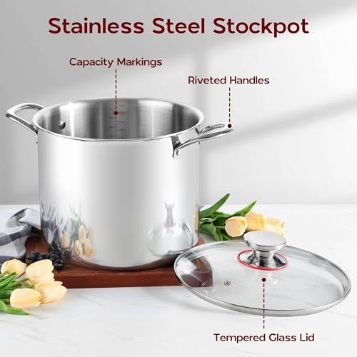 Tri-Ply 18/10 Stainless Steel Stock Pot 8 Quart with Lid H393