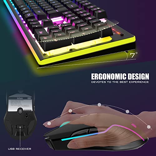 RedThunder K10 Wireless Gaming Keyboard and Mouse Combo, LED Backlit, Rechargeable, for PC Gamer (Black) T1424