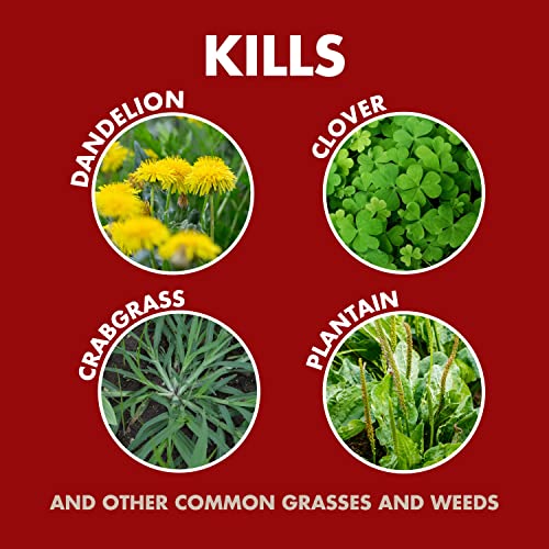 Spectracide Weed & Grass Killer Concentrate, 64 fl oz D5580