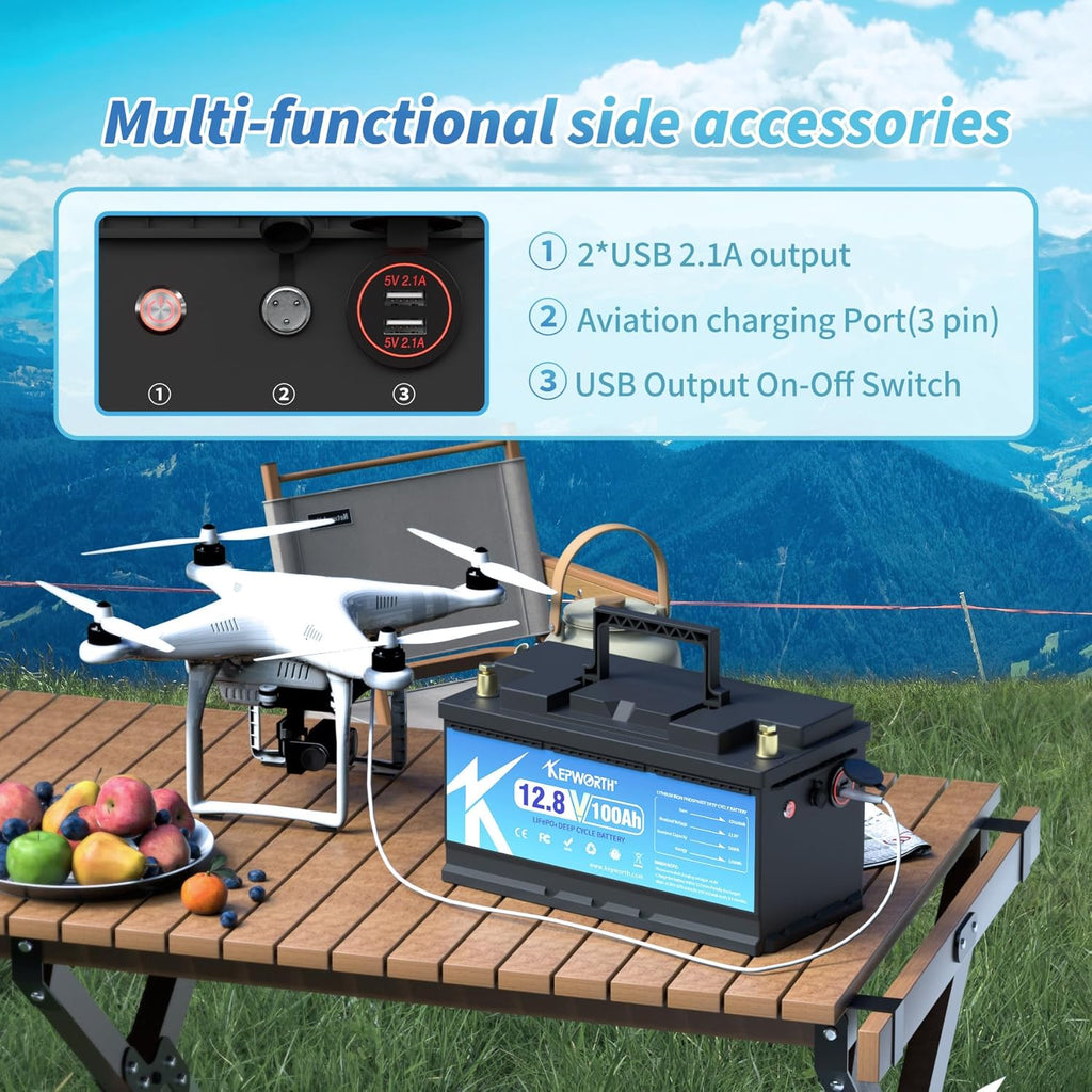 12V LiFePO4 Battery 100Ah with 100A BMS for RV, Marine, Solar E4980
