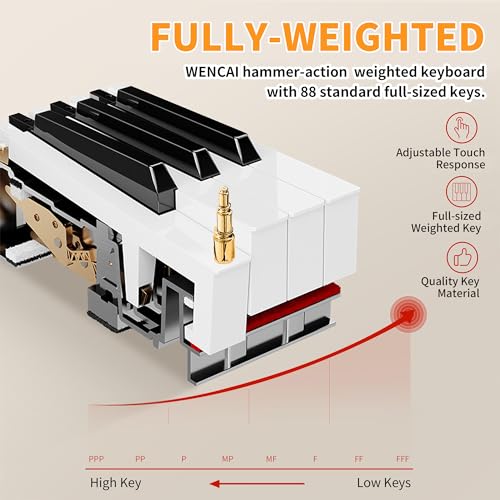 88 Key Fully Weighted Digital Piano with Hammer Action, Black G826