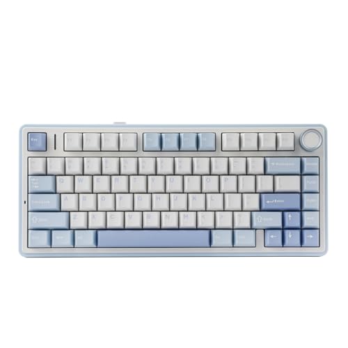 EPOMAKER x Aula F75 Gasket Mechanical Keyboard, 75% Wireless Hot Swappable Gaming Keyboard with Five-Layer Padding&Knob, Bluetooth/2.4GHz/USB-C, RGB (Light Blue, LEOBOG Reaper Switch)