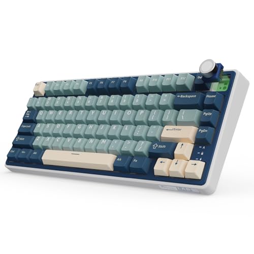 RK ROYAL KLUDGE R75 Wireless Mechanical Keyboard, 75% Percent Custom Gaming Keyboard Gasket Mount RGB Backlit with Knob & PBT Keycaps, BT5.1/2.4GHz/USB-C, QMK/VIA, Hot Swappable Cream Switch