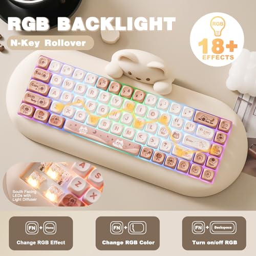 YUNZII C68 Wireless Mechanical Keyboard 65% Hot Swap RGB Backlit for Win/Mac O62087
