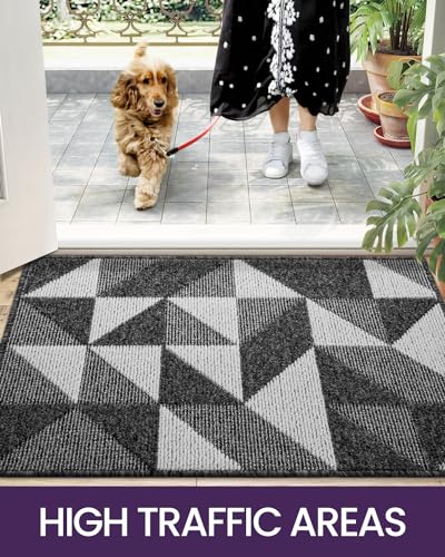 DEXI Front Door Mats for Entryway, Non Slip Washable, 24"x36", Black T88335