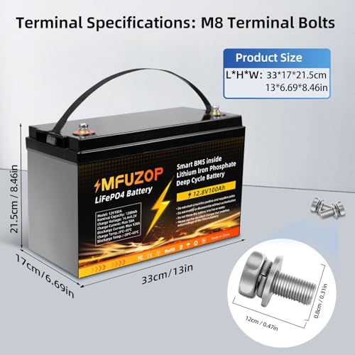 12V 100Ah LiFePO4 Battery with 100A BMS, Group 31 Deep Cycle P429569