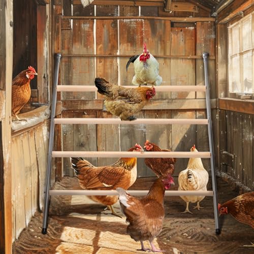 PETSFIT Chicken Coop Run with Anti-Rust Durable Steel, Large Walk-in Poultry Cage for Yard Z6201