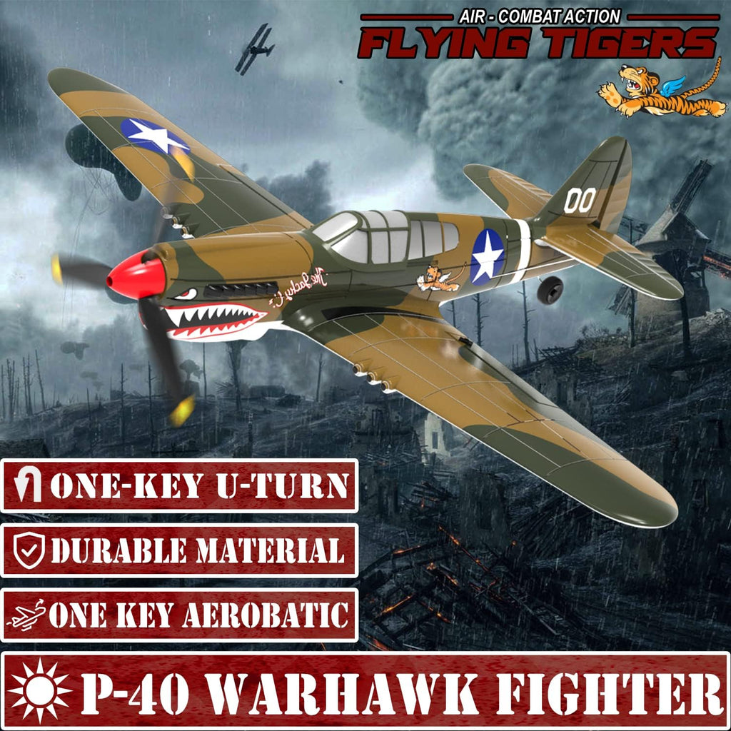 LEAMBE RC Plane P-40 Warhawk 4 Channel Remote Control Airplane Ready to Fly A5281