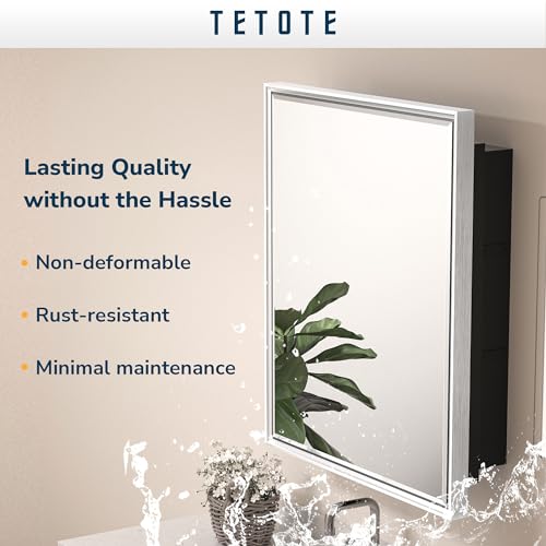 TETOTE 40x30 Inch Silver Framed Bathroom Medicine Cabinet with Mirror Q51273