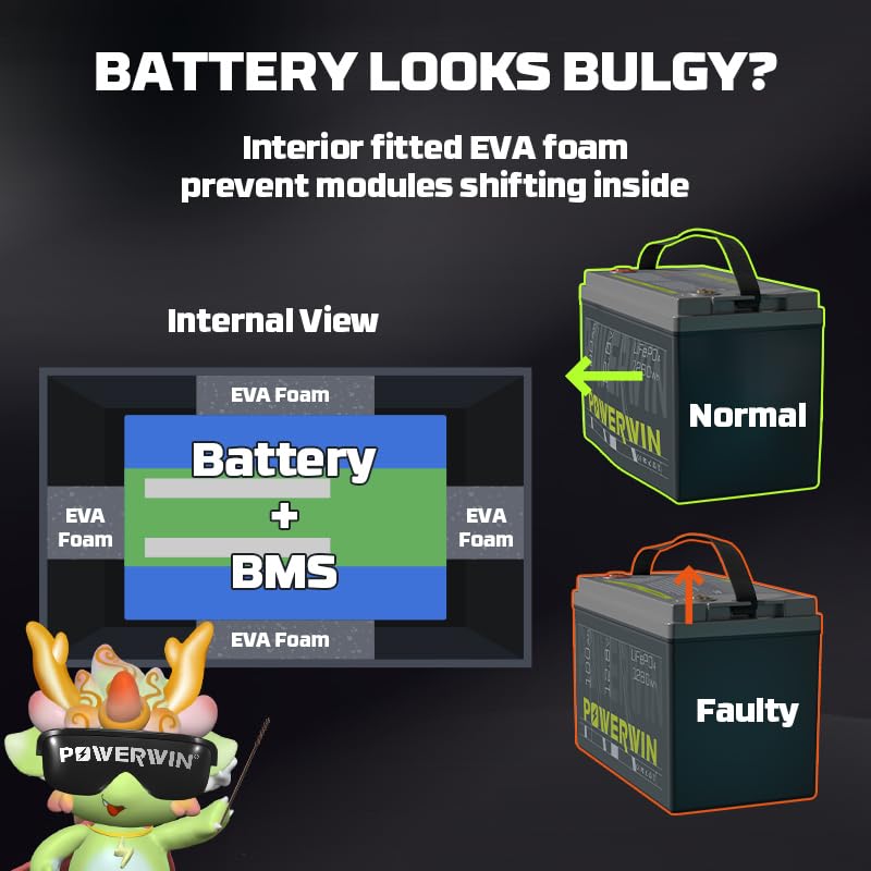 12V 100Ah LiFePO4 Lithium Battery with 100A BMS for RV Marine Off Grid V45695