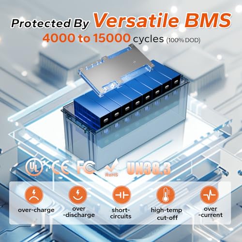 Litime 12V 200Ah LiFePO4 Battery with 100A BMS for RV, Solar, and Off-Grid D8256