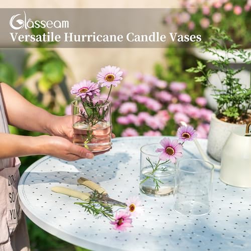 Glasseam Hurricane Glass Candle Holder Set of 6, Clear Cylinder for Pillar Candles, 6 inch X362759