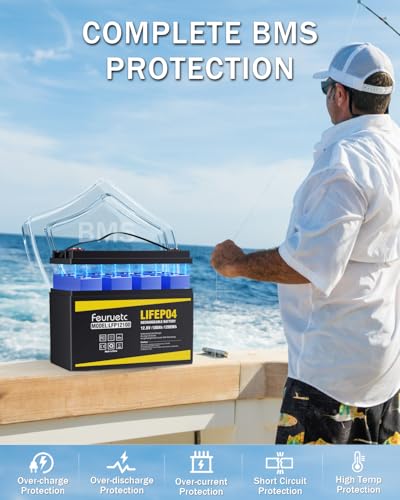 2 Pack 12V 100Ah LiFePO4 Battery with 100A BMS for RV, Solar, Trolling Motor Y4376