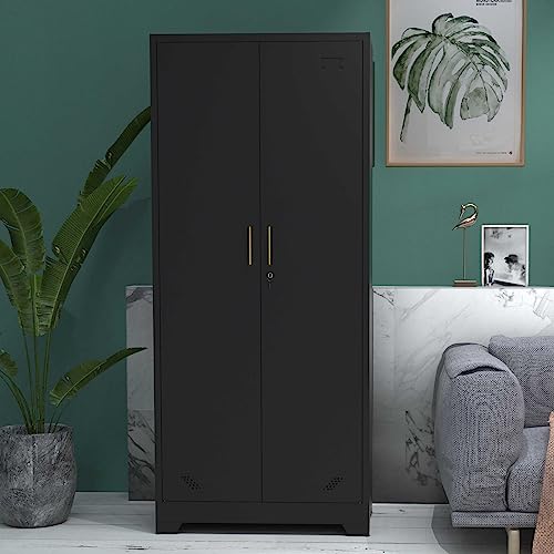 Metal Storage Cabinet with Locking Doors and Adjustable Shelves, Black F2458