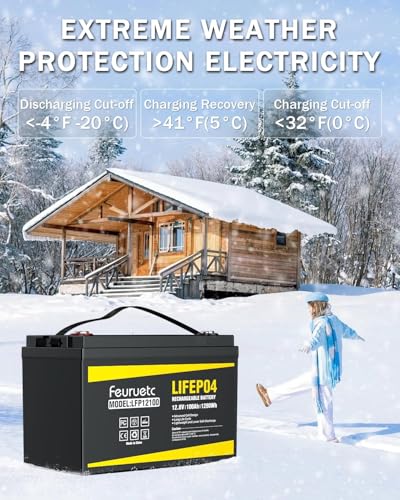 12V 100Ah LiFePO4 Lithium Battery with 100A BMS for RV, Marine, Golf Cart L967