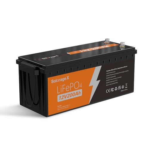 12V 100Ah Mini Group 24 LiFePO4 Lithium Battery, Built-in 100A BMS and Low Temp Cut Off, Max 1200W Power with 5000+ Cycles and 10-Year Lifespan, Perfect for RV, Solar,Trolling Motor