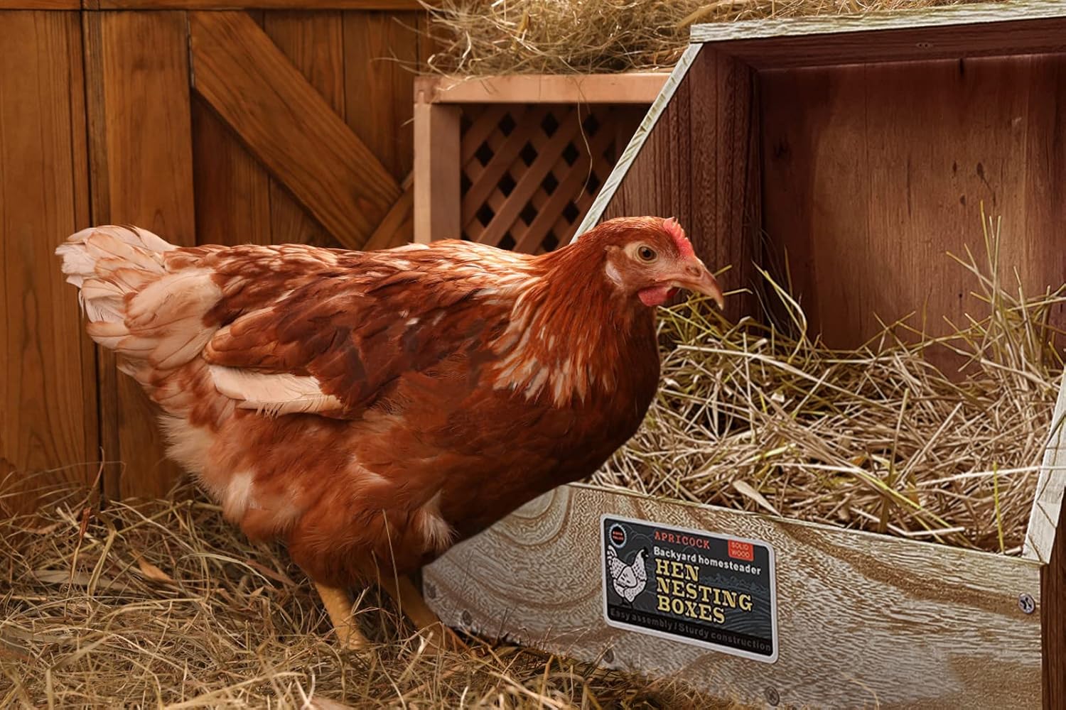 Hens Nesting Box for Chicken Coop, Wood Laying Box for Poultry (1 Pack) N36569