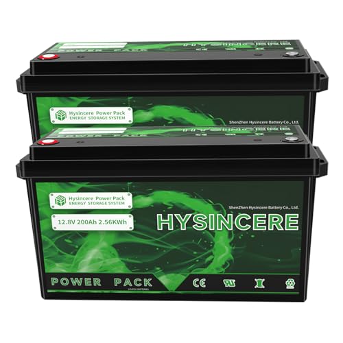 2Pack 12V 100Ah LiFePO4 Lithium Battery, 100A BMS Deep Cycle Rechargeable Lithium Battery with Up to 4000 Cycles for RV, Solar, Trolling Motor, Energy Storage (12V 100Ah PLUS 2Pack)