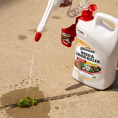 Spectracide Weed & Grass Killer Refill, 1.3 Gallon R555217