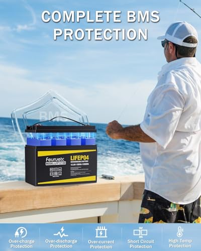 12V 100Ah LiFePO4 Lithium Battery with 100A BMS for RV, Marine, Golf Cart L967