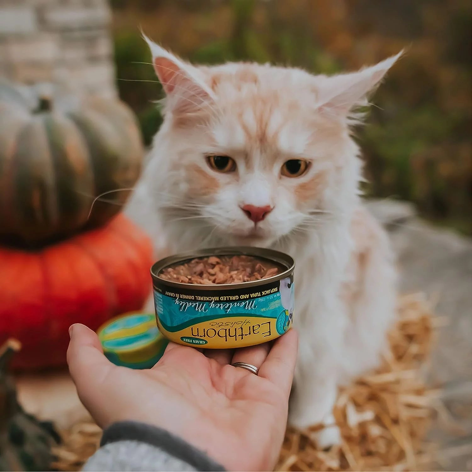 Earthborn Holistic Monterey Medley Grain-Free Cat Food 5.5 oz. 24-Pack Z57535
