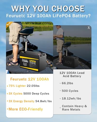 12V 100Ah LiFePO4 Lithium Battery with 100A BMS for RV, Marine, Golf Cart L967