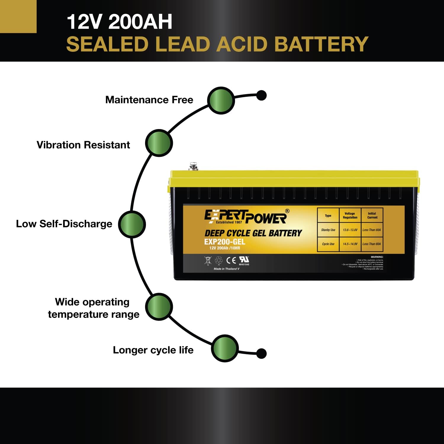 ExpertPower Deep Cycle 12V 200AH VRLA GEL Battery for Solar RV Marine W716466