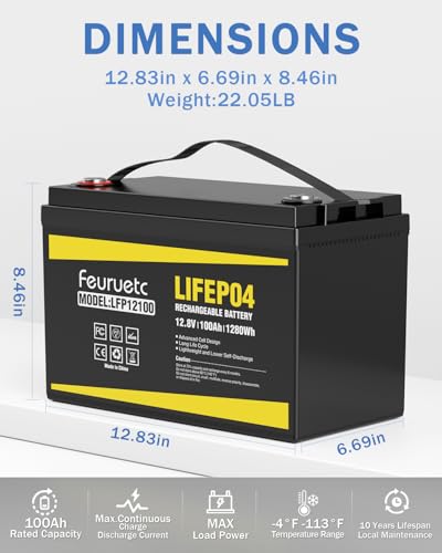 2 Pack 12V 100Ah LiFePO4 Battery with 100A BMS for RV, Solar, Trolling Motor Y4376