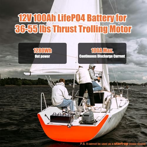 12V 100Ah LiFePO4 Battery Group 31 with Built-in 100A BMS R3671