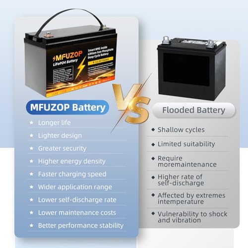 12V 100Ah LiFePO4 Battery with 100A BMS, Group 31 Deep Cycle P429569
