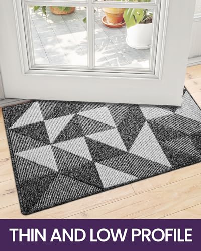 DEXI Front Door Mats for Entryway, Non Slip Washable, 24"x36", Black T88335