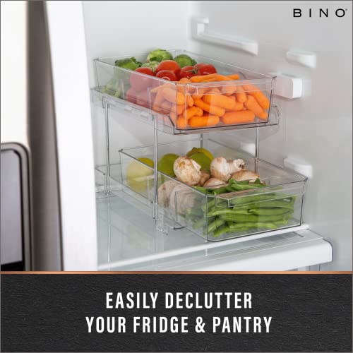BINO 2 Tier Clear Storage Organizer with Dividers F979