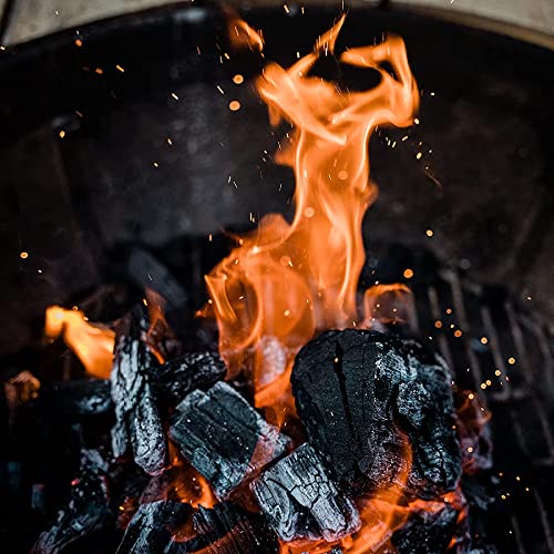 Fire & Flavor Premium All Natural Hardwood Lump Charcoal D127219