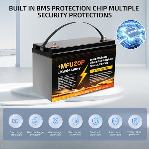 12V 100Ah LiFePO4 Battery with 100A BMS, Group 31 Deep Cycle P429569