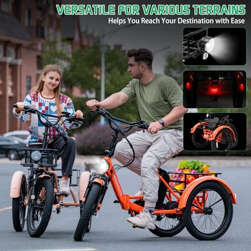 ABORON Electric Tricycle for Adults, 20" Aluminum E-Trike, 500W, 48V 14.5Ah, Front Suspension F959393