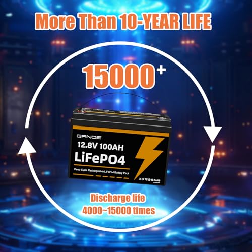 12V 100Ah LiFePO4 Battery Group 31 with Built-in 100A BMS R3671