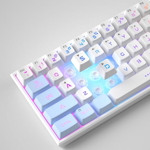 MageGee TS91 Mini 60% Gaming Keyboard, RGB Backlit 61 Key, Waterproof Mechanical Feeling, Black C937