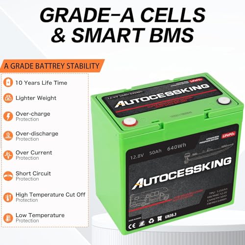 12V 100Ah LiFePO4 Lithium Battery with 100A BMS for RV, Marine, Solar V78934