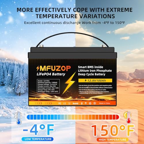 12V 100Ah LiFePO4 Battery with 100A BMS, Group 31 Deep Cycle P429569