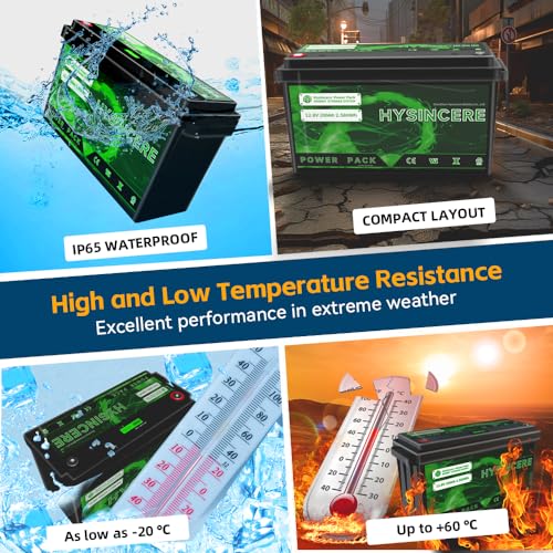 2Pack 12V 100Ah LiFePO4 Lithium Battery with 100A BMS for RV, Solar, Trolling Motor D52311