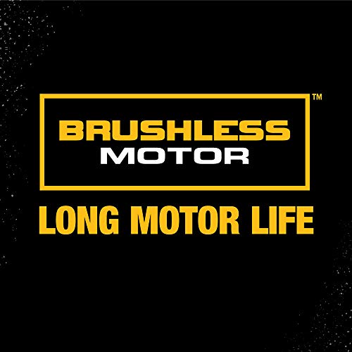 DEWALT XTREME 12V MAX Cordless Drill Combo Kit DCK221F2 D39363