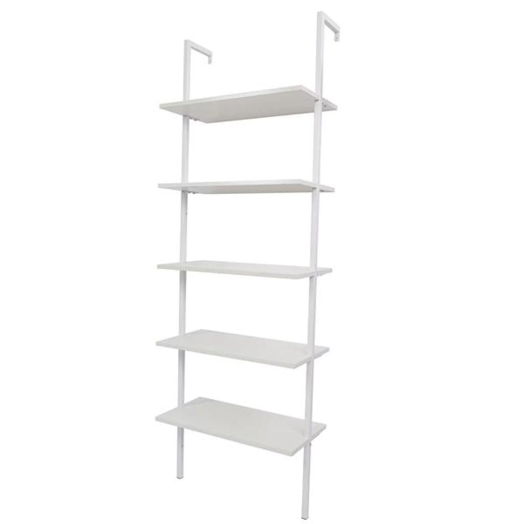 5 Tier Wood Ladder Bookcase with Metal Frame C597