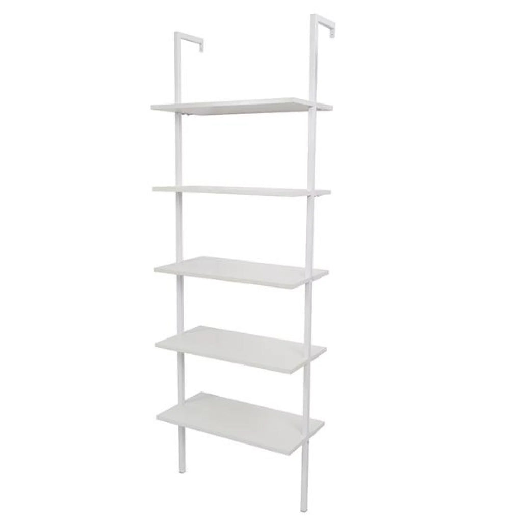 5 Tier Wood Ladder Bookcase with Metal Frame C597