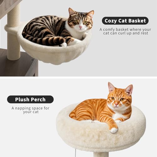 57.5-Inch Cat Tree with Litter Box Enclosure, Oak Brown D61275