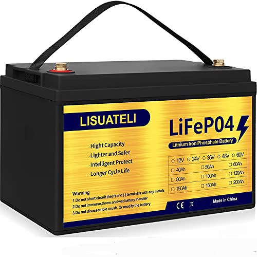 12V 100Ah Lifepo4 Lithium Batteries Up to 3000-7000 Deep Cycles for Golf Cart Solar RV Camper Marine Battery (12V100AH black)