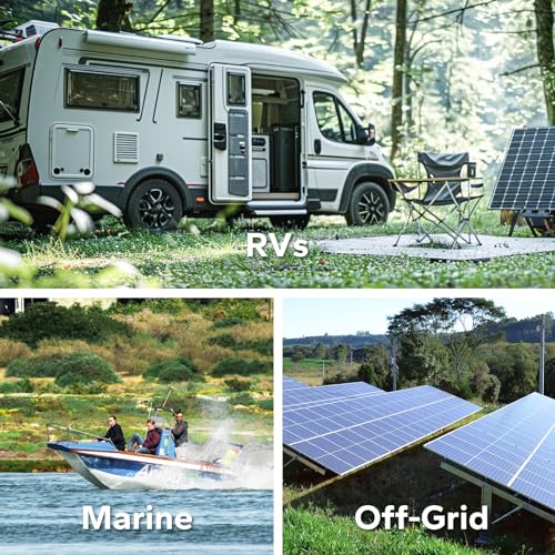 Litime 12V 200Ah LiFePO4 Battery with 100A BMS for RV, Solar, and Off-Grid D8256