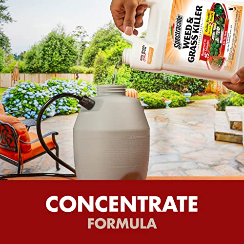 Spectracide Weed & Grass Killer Concentrate, 64 fl oz D5580