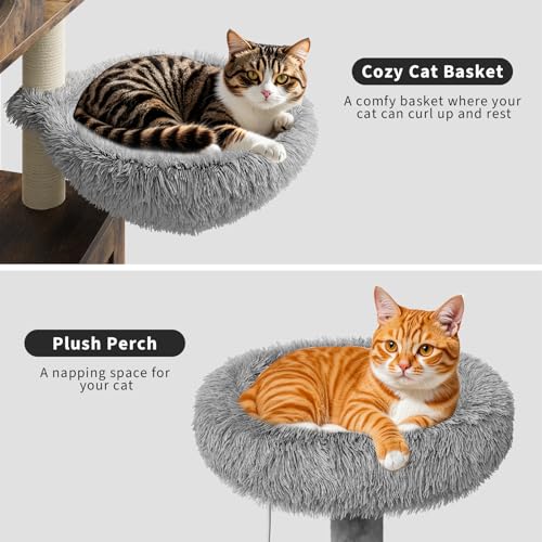 57.5-Inch Cat Tree with Litter Box Enclosure, Oak Brown D61275